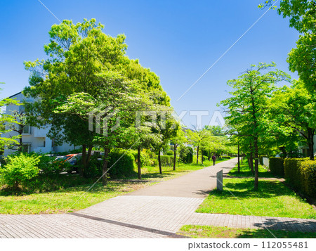 郊區住宅區，清新綠色生活路 112055481