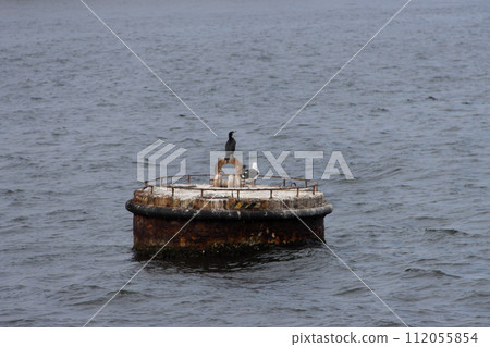 鳥棲息在漂浮在海中的浮標上 鳥棲息在漂浮在海中的浮標上 112055854