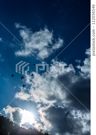 Blue sky Blue sky 112056546