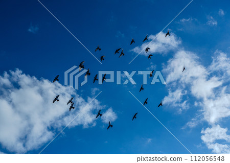 Blue sky 112056548