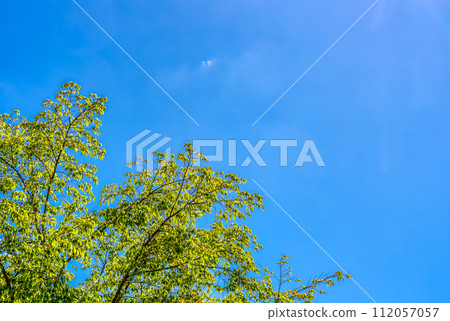 Miyagase Dam Lake in Spring, Kanagawa Prefecture Miyagase Dam Lake in Spring, Kanagawa Prefecture 112057057