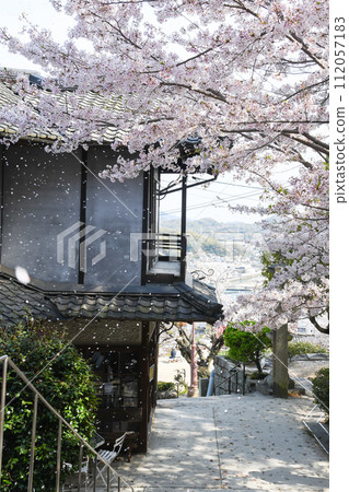 Cherry blossom tunnel in full bloom and old buildings Cherry blossom tunnel in full bloom and old buildings 112057183