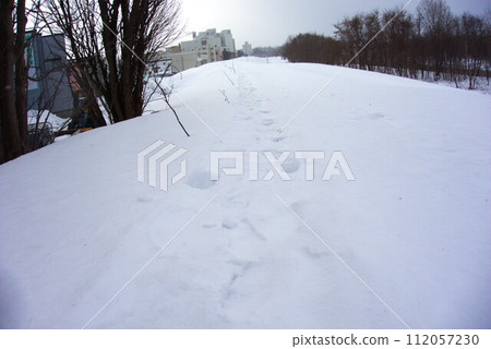 Asahikawa in winter seen from the embankment near Ishikari River [Asahikawa, Hokkaido] 112057230