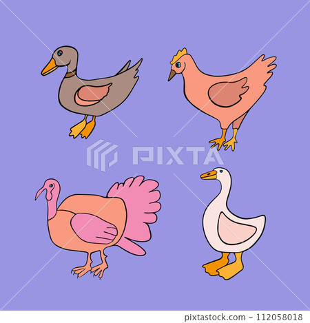 Vector isolated set of poultry. Domestic fowl. 112058018