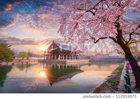 Gyeongbokgung palace in sunset with cherry blossom tree in spring time in Seoul, South Korea. 112058075
