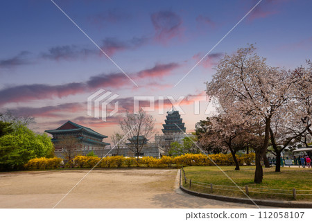 Gyeongbokgung palace in sunset with cherry blossom tree in spring time in Seoul, South Korea. 112058107