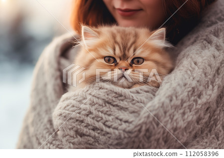 Woman holds and hugs popular Persian playful kitten cat breed Woman holds and hugs popular Persian playful kitten cat breed 112058396