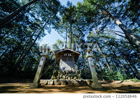 科馬神社的鳥居與竹林 112058646