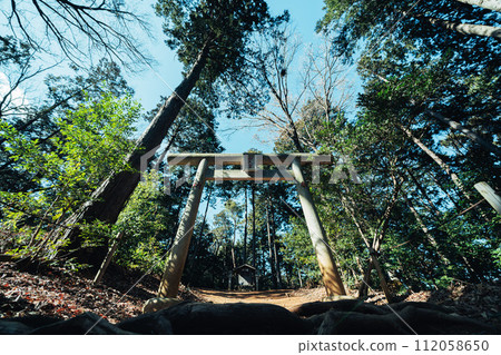科馬神社的鳥居與竹林 科馬神社的鳥居與竹林 112058650