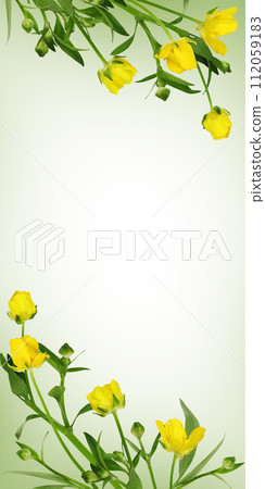 Yellow wild ranunculus flowers and leaves in a corner floral arrangements on white and green background 112059183