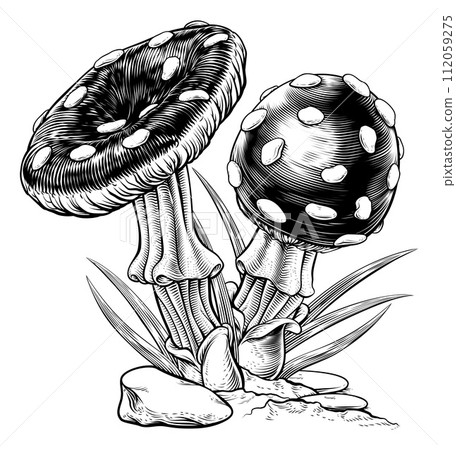 Mushrooms Toadstools Vintage Engraved Woodcut 112059275