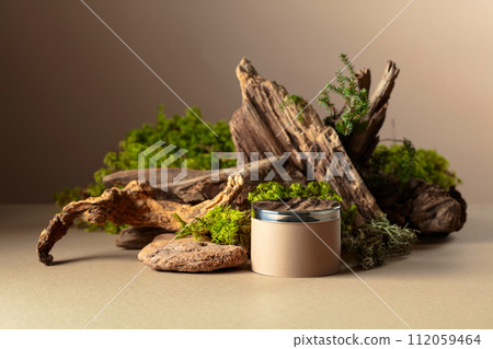 Abstract north nature composition and  podium for your product. 112059464
