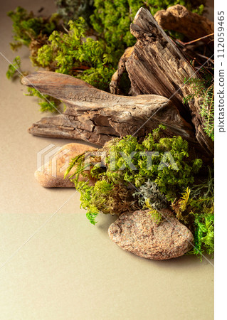 Abstract north nature scene with a composition of lichen, moss, and old snags. 112059465