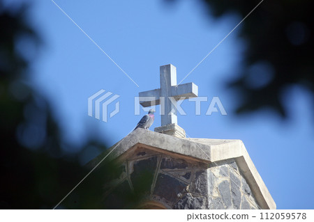 Cross and dove, Church of the Primacy of St Peter, Sea of Galilee, Tabgha, Israel 112059578