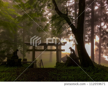 Shiromine Shrine in summer Shiromine Shrine in summer 112059671