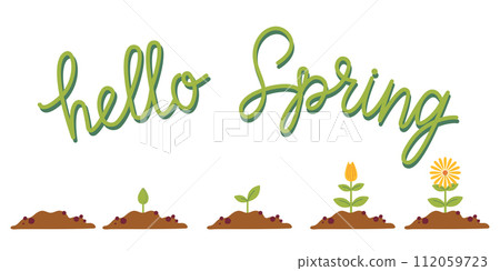 Flower life cycle. Growth stages from seed to flowering. Hello spring lettering. Flat colorful vector illustration for card, invitation, banner, stickers, poster. Flower life cycle. Growth stages from seed to flowering. Hello spring lettering. Flat colorful vector illustration for card, invitation, banner, stickers, poster. 112059723