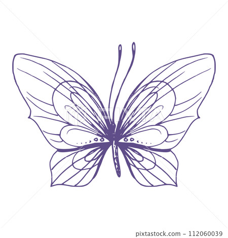 Delicate butterfly with patterns on the wings, simple, sweet, light, romantic. Illustration graphically hand-drawn in lilac ink in line style. Isolated EPS vector object Delicate butterfly with patterns on the wings, simple, sweet, light, romantic. Illustration graphically hand-drawn in lilac ink in line style. Isolated EPS vector object 112060039