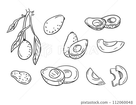 Set of hand drawn sketchy outline avocados. Doodle black contour cut and whole vegetables on white background. Ideal for coloring pages, tattoo, pattern 112060048
