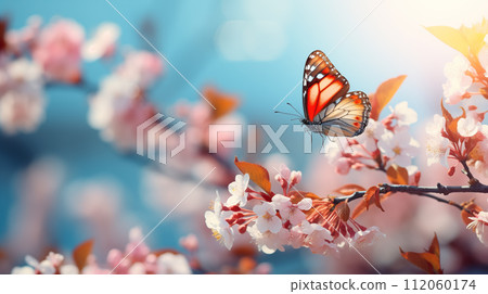 Spring background with blooming cherry tree and butterfly. Spring background with blooming cherry tree and butterfly. 112060174