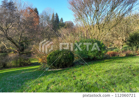 Enlgish green garden with water pound and multpiple type of trees and plants Enlgish green garden with water pound and multpiple type of trees and plants 112060721