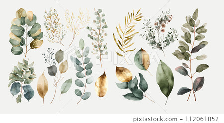 Watercolor Greenery and Foliage Illustrations, Perfect for Invitations, Decorations, and Creative Watercolor Greenery and Foliage Illustrations, Perfect for Invitations, Decorations, and Creative 112061052