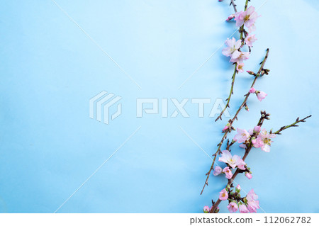 spring cherry and almond tree flowers 112062782