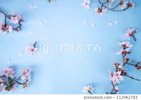 spring cherry and almond tree flowers 112062783