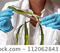 Science and nature concept 112062843