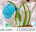 Science and nature concept 112062850