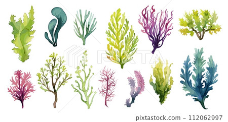 AI-generated content. Algae and seaweeds set. Watercolor seaweed, underwater plants isolated collection. Decorative sea elements, plant for aquarium, vector clipart 112062997