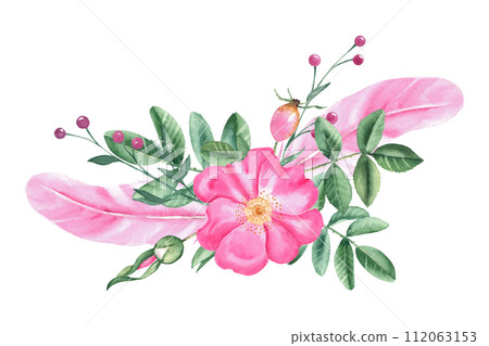 Watercolor composition from dog rose flowers, leaves, buds and pink feathers isolated on white background. Botanical hand drawn illustration. Watercolor composition from dog rose flowers, leaves, buds and pink feathers isolated on white background. Botanical hand drawn illustration. 112063153