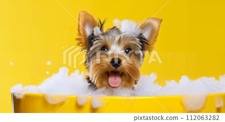Happy wet dog taking a bath. Cute puppy in a bathtub with soap foam and bubbles. Pets cleaning or washing concept Happy wet dog taking a bath. Cute puppy in a bathtub with soap foam and bubbles. Pets cleaning or washing concept 112063282