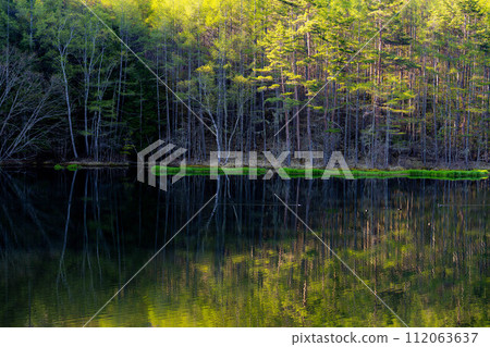 [Fresh green material] Mika Pond in early summer [Nagano Prefecture] 112063637