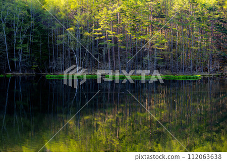 [Fresh green material] Mika Pond in early summer [Nagano Prefecture] 112063638