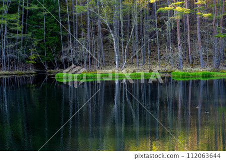 [Fresh green material] Mika Pond in early summer [Nagano Prefecture] 112063644