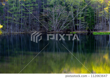 [Fresh green material] Mika Pond in early summer [Nagano Prefecture] 112063647