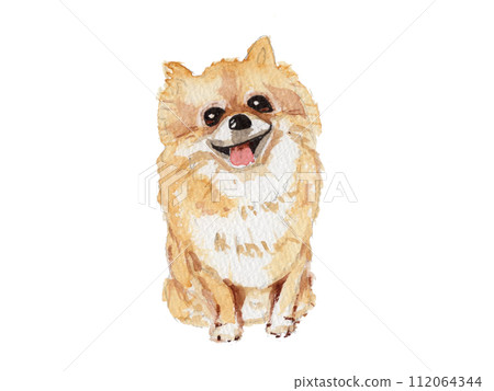 博美犬手繪水彩 112064344