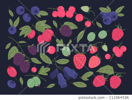 Ripe berries. Juicy forest berries, strawberry, raspberry, red currant, blueberry and gooseberry edible berries flat vector illustration set. Fresh berries on dark background Ripe berries. Juicy forest berries, strawberry, raspberry, red currant, blueberry and gooseberry edible berries flat vector illustration set. Fresh berries on dark background 112064586