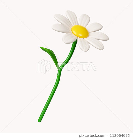 3d daisies flowers .icon isolated on white background. 3d rendering illustration. Clipping path. 112064655
