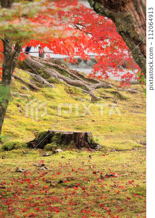 Autumn leaves in Kyoto Nanzenji Temple Eikando Philosopher's Path 112064913
