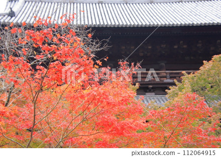 Autumn leaves in Kyoto Nanzenji Temple Eikando Philosopher's Path 112064915
