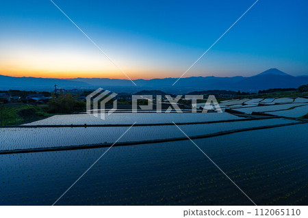 [初夏材料]黎明時分的中野梯田[山梨縣] 112065110