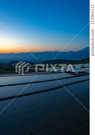 [初夏材料]黎明時分的中野梯田[山梨縣] 112065111