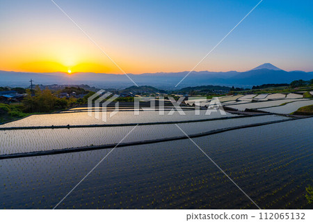 [初夏材料]黎明時分的中野梯田[山梨縣] 112065132