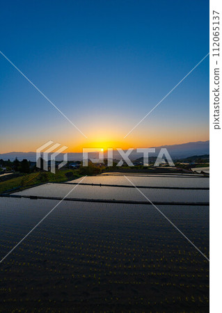 [初夏材料]黎明時分的中野梯田[山梨縣] 112065137