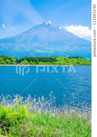 [Early summer material] Mt. Fuji seen from Lake Tanuki [Shizuoka Prefecture] 112065246