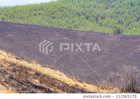 [災難圖像] Kirigamine Highlands [長野縣]的野火遺跡 112065278