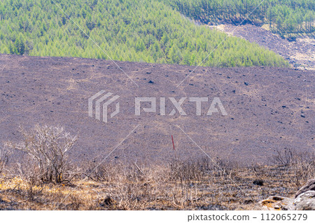 [Disaster image] Remains of wildfire in Kirigamine Highlands [Nagano Prefecture] 112065279