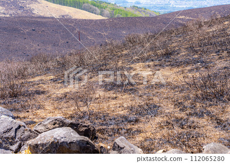 [災難圖像] Kirigamine Highlands [長野縣]的野火遺跡 112065280