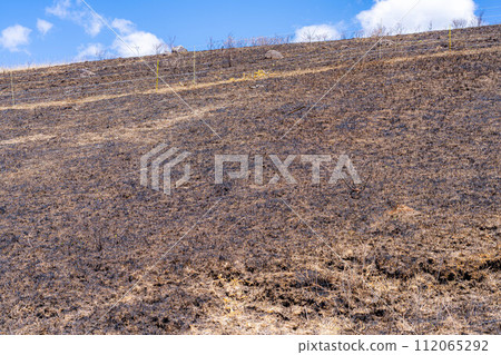 [Disaster image] Remains of wildfire in Kirigamine Highlands [Nagano Prefecture] 112065292